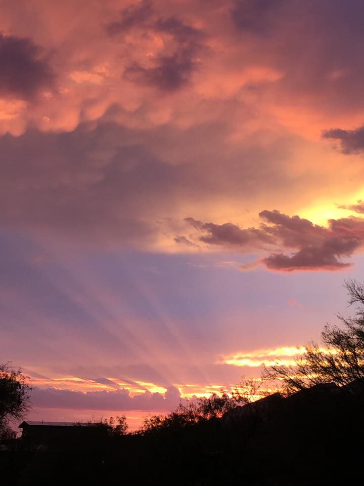 Reader sunsets